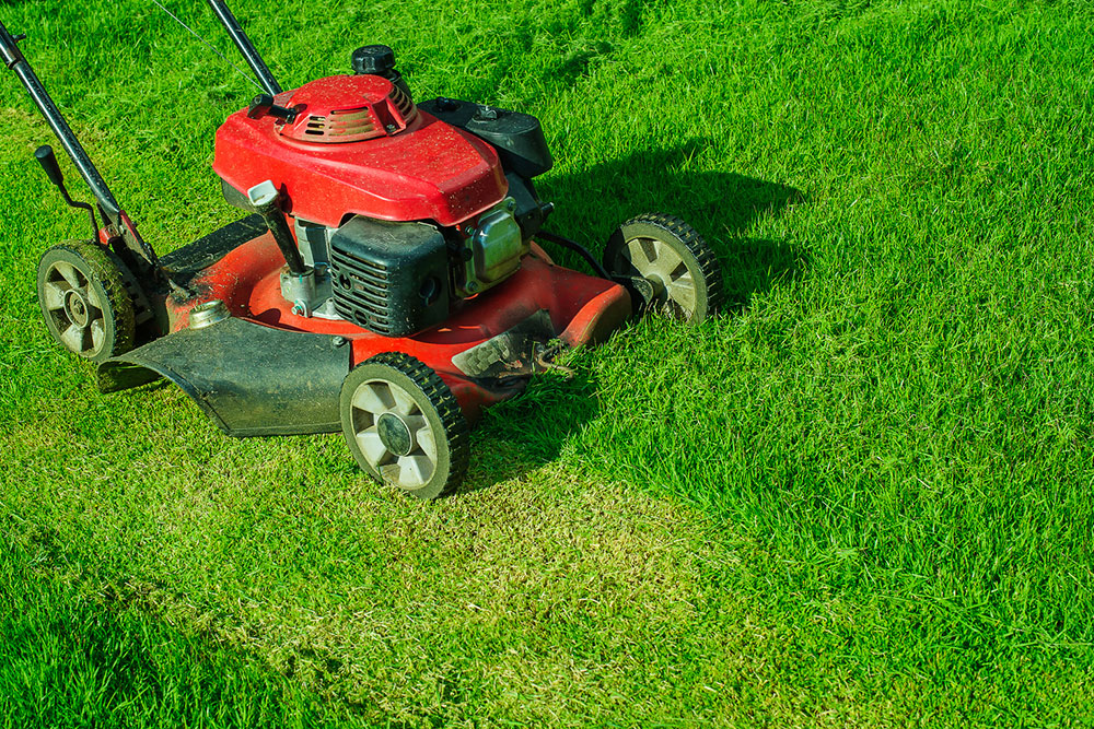 Effective Tips to Care for Your Lawn